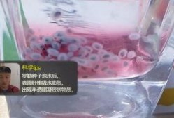 网红糖果爆料视频